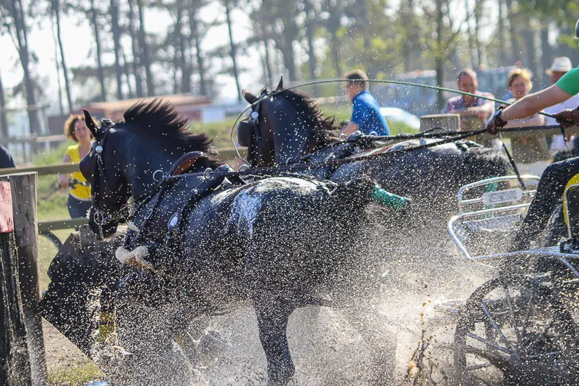 wk tweespan kronenberg
