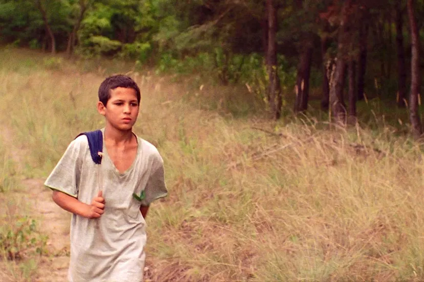 wlz9by2kfzh9rzz4s7hkehdii 1222 justthewind 1