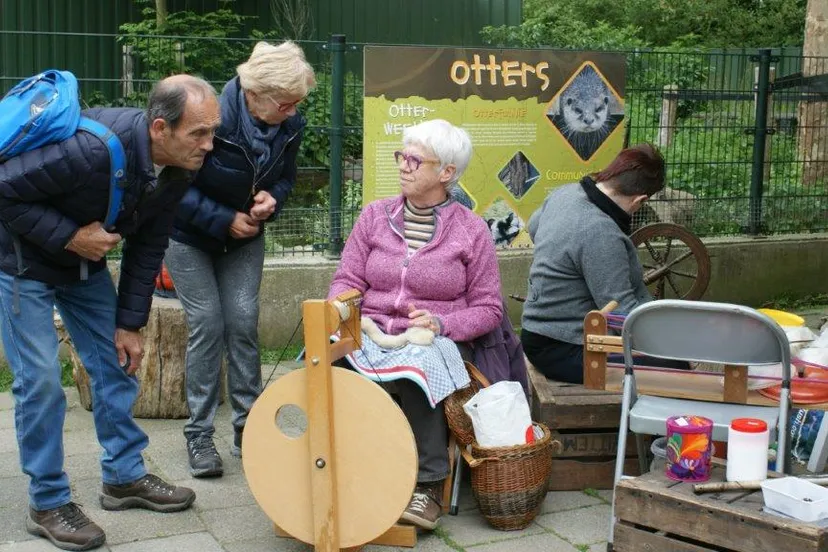 wol spinnen geertje 2016