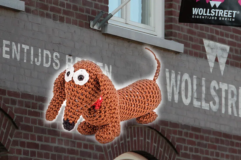 wollstreet eigentijds breien teckel leprastichting