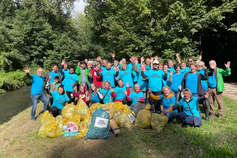 world cleanup day schwienswei