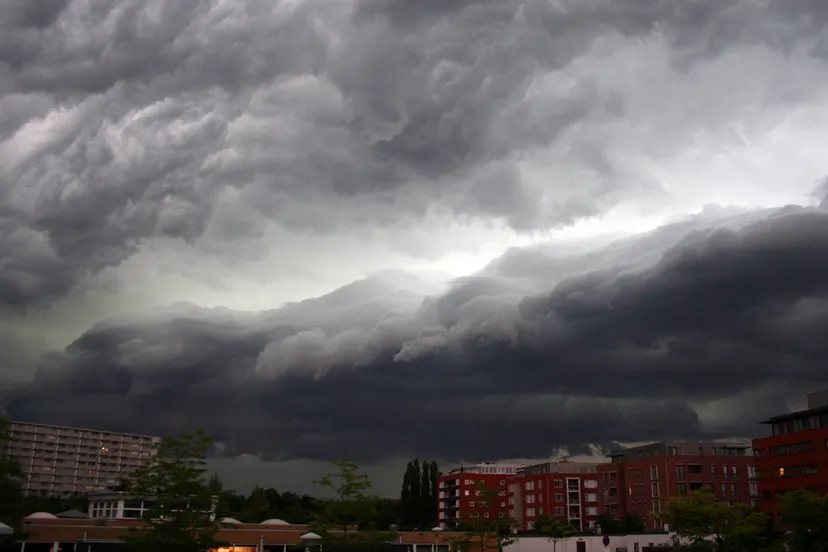 wsajgol7m3u6mp0wjsy0jyqrr onweer pinksteren 2014 tom bloem