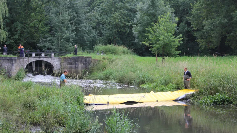 wu4g20gvk1fn5erw7szzjm9bi artikelfoto 4