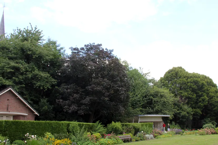 x7xoknyz06vcmmg9six0i4urg geheime tuinen 2014 13