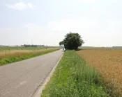 xj2hb6n7v1tamwu1cjhrbnf9x 218404