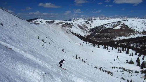 xjjmq25hssoqndqf6nr4i9fr7 jay johnson cc by 3