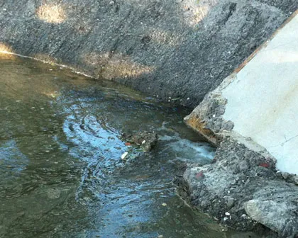 xlfyel4xep3i3o8kigyoxzt0h 160371