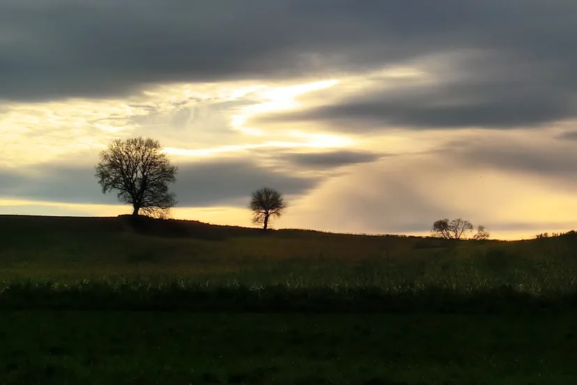 xzghzla2jv3r6hblykzgomsy4 kollenberg tuinenwandeling