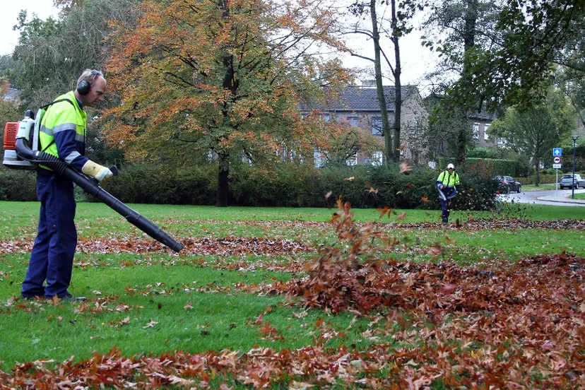 y5bl5195qiuswvzna4kfafk38 herfst blad blazers 22 oktober 2014 tom bloem