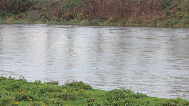 ywmdkysvw3ivlpvf53di1rd21 maas niet zo hoog als verwacht