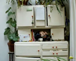 yyesif8gejqjf9d7jhcx9hfhy 170091