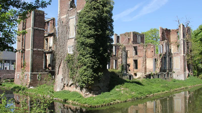 z13glx17ofh5xg4sev7q2656y kasteel born 16 9