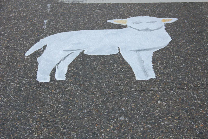 zf0b32p9zq7udghhjuhx5slnn img6243