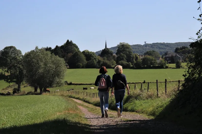 zicht op vaalser berg