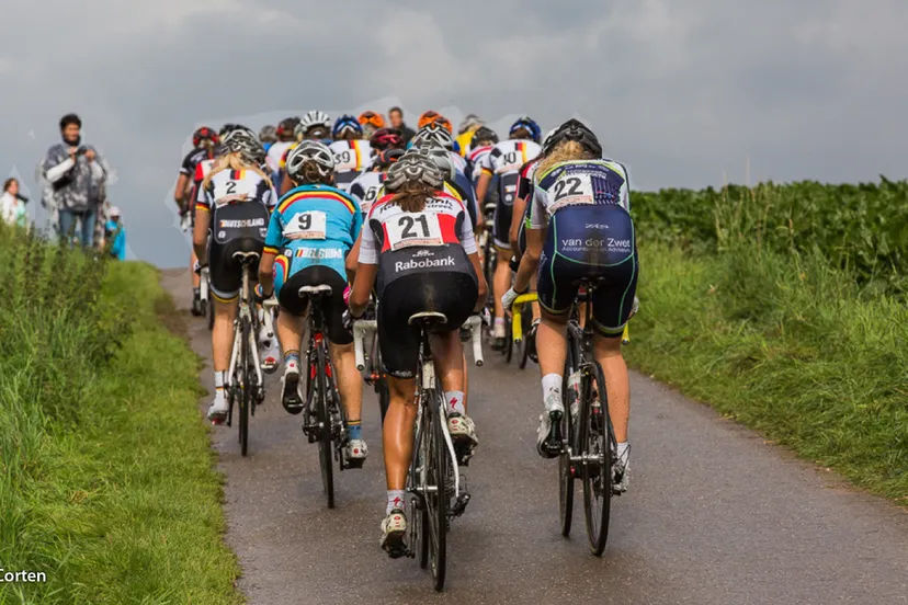 zlzco6tmkb98a0w7plljxyvxd beginfoto 16 9