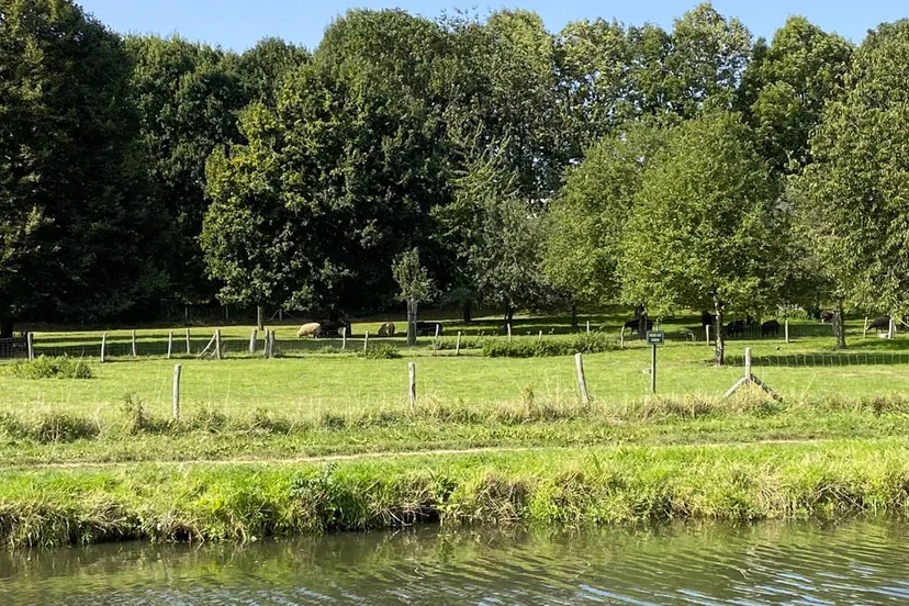 zomers nazomers beekdal sittard