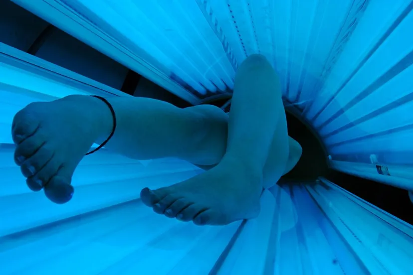 zonnebank evil erin cc by 20 via wikimedia commons