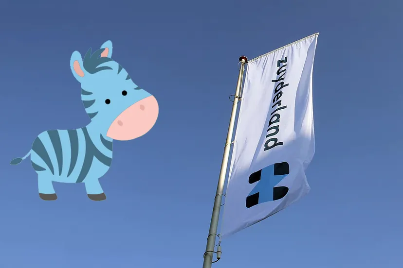 zuydie bij de zuyderland vlag