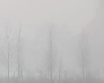 zviz6arltdw8l0vuof9ql3diu 220740