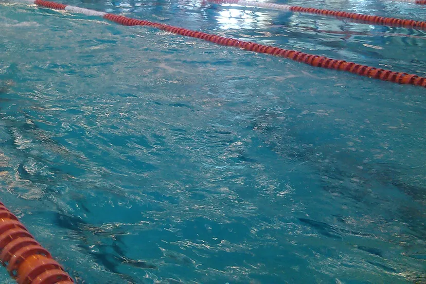 zwembad edoderoo cc by sa 30 via wikimedia commons