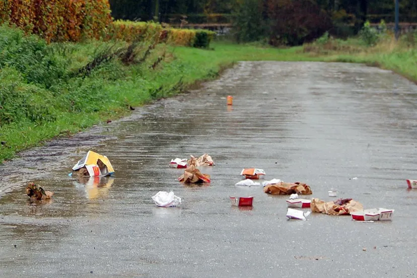 zwerfafval zwerfvuil macdonalds 2