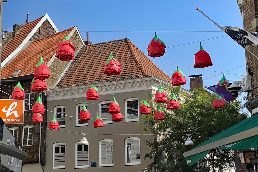 24 rozen toon hermans