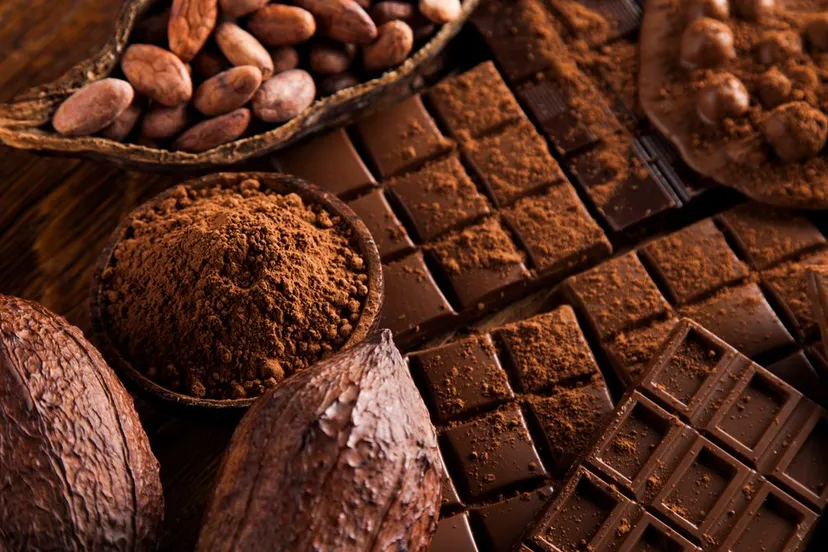 cacao bonen poeder chocola