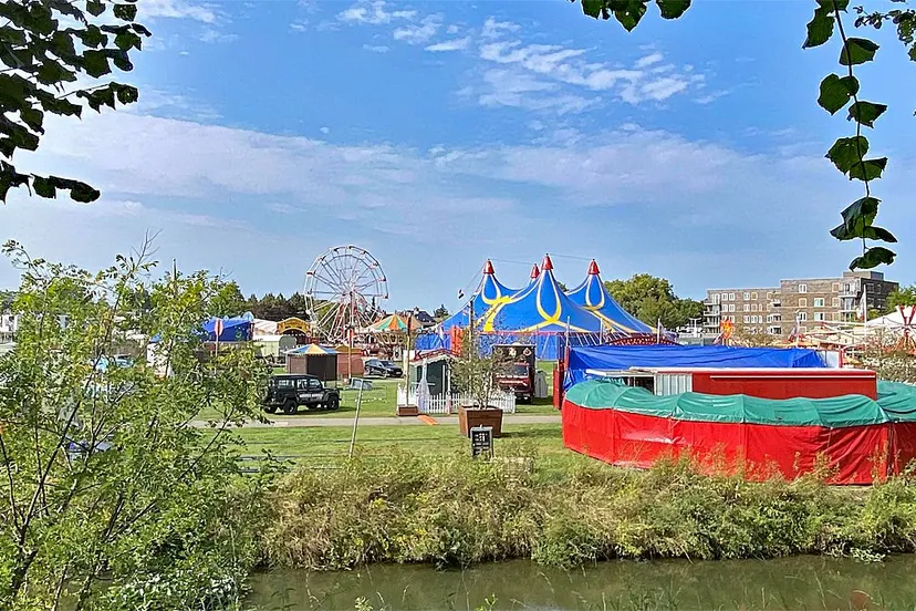 schootsvelden sint rosafestival 2024