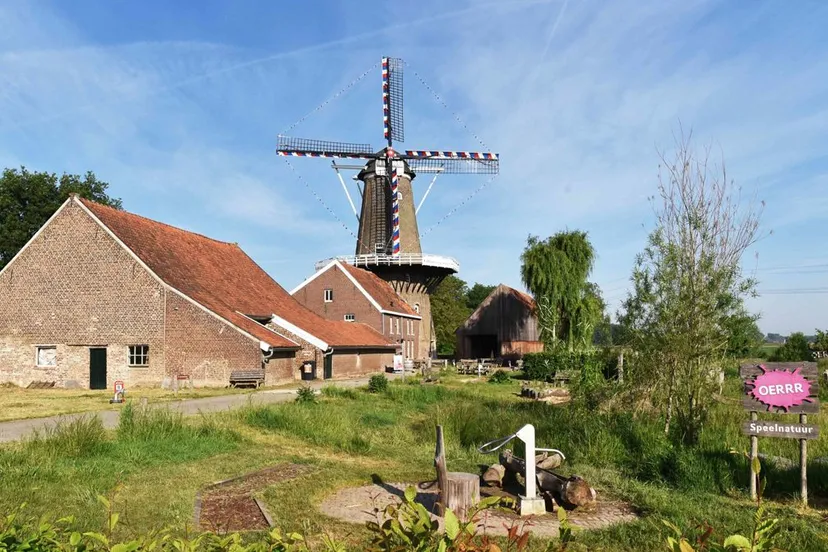 natuurmonumenten thieu vogels studio maasgouw namo122364