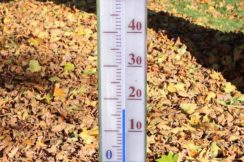 thermometer 167 graden herfst gevallen bladeren bladvegen