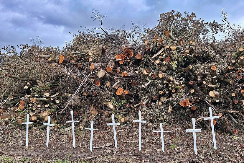 actiegroep stop a2 foto2 bomenkap