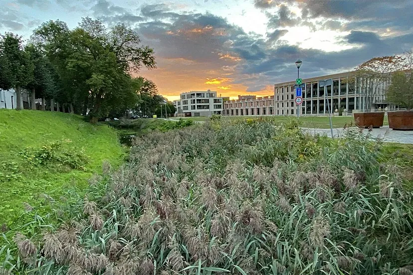 gracht groeit dicht 1