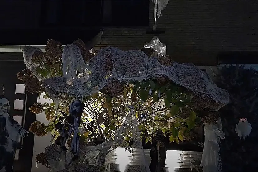 halloween in neerbeek