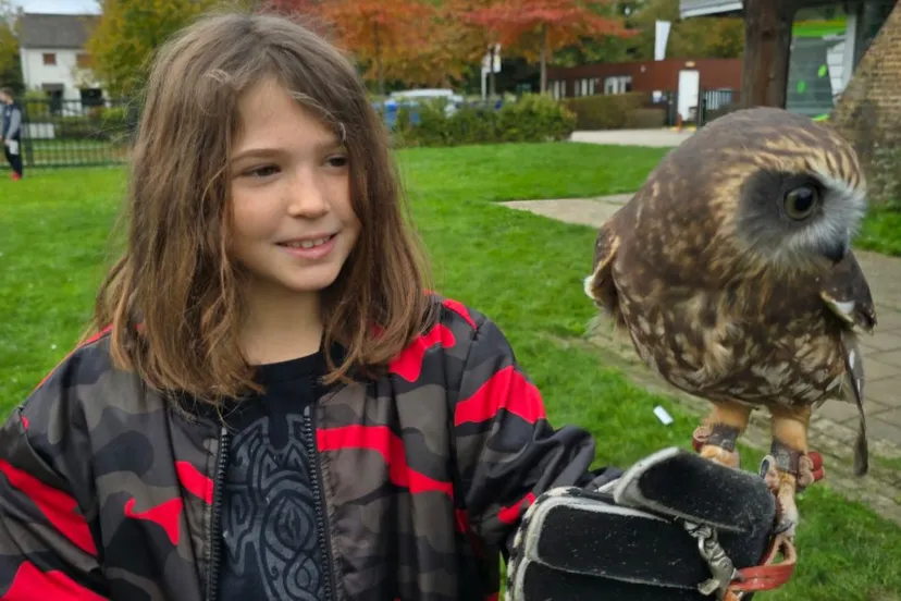 halloween thriller parade geleen