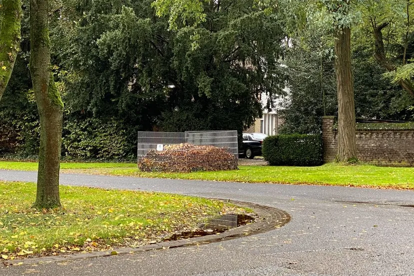 herfst 2024 bladkorf grevenbicht