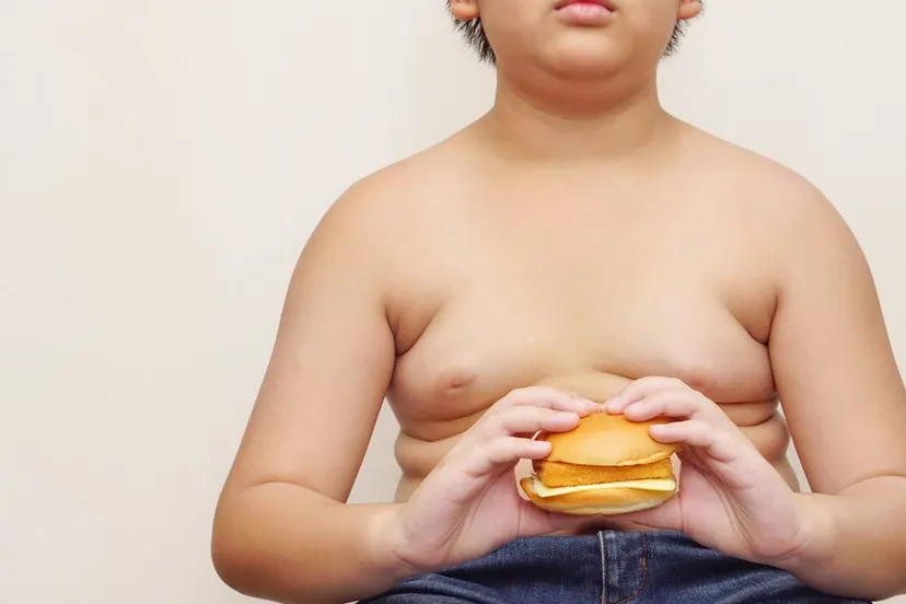 jongen dik hamburger