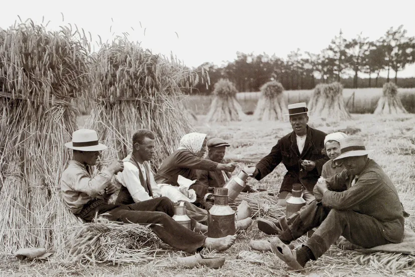 maaltijd van de geschiedenis achlievetijd 61323
