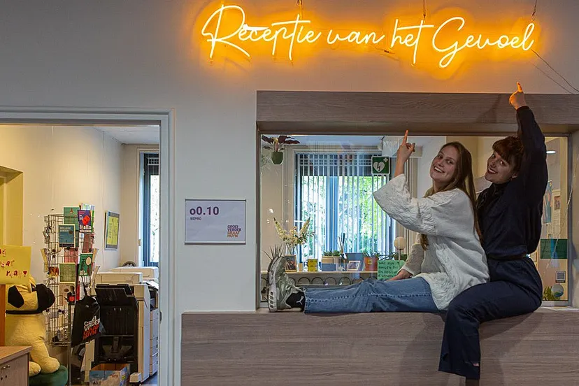 receptie van het gevoel joost milde