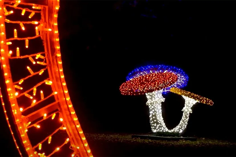 steinerbos steiner lights