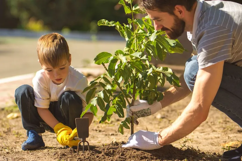 vader en zoon planten een boom