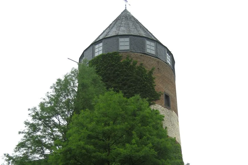 grensregio compleet 21