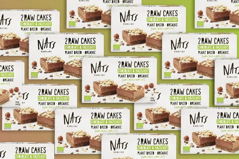 salmonella in raw cakes