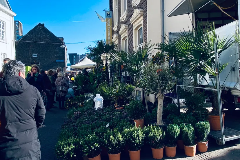 sint joep 2022 paardestraat 2