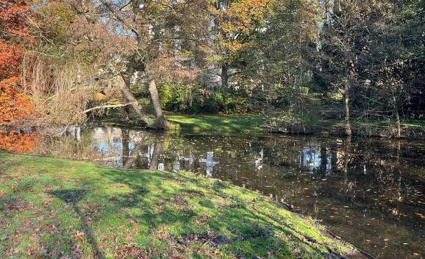 slingervijver vijverweg sittard