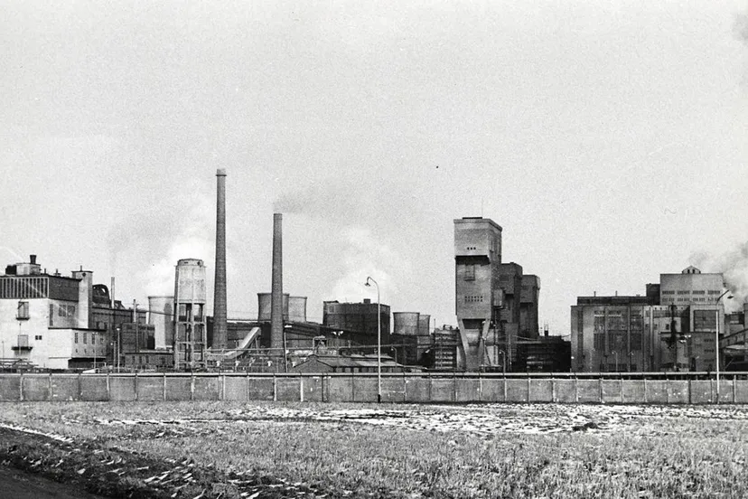 staatsmijn maurits rasg