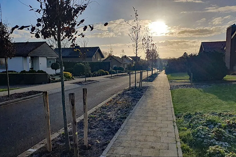 limbricht opgeknapte vredeslaan