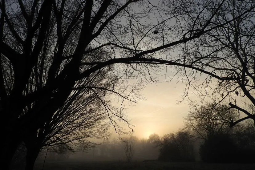 escs terrein in de winter bep mergelsberg free of copyright