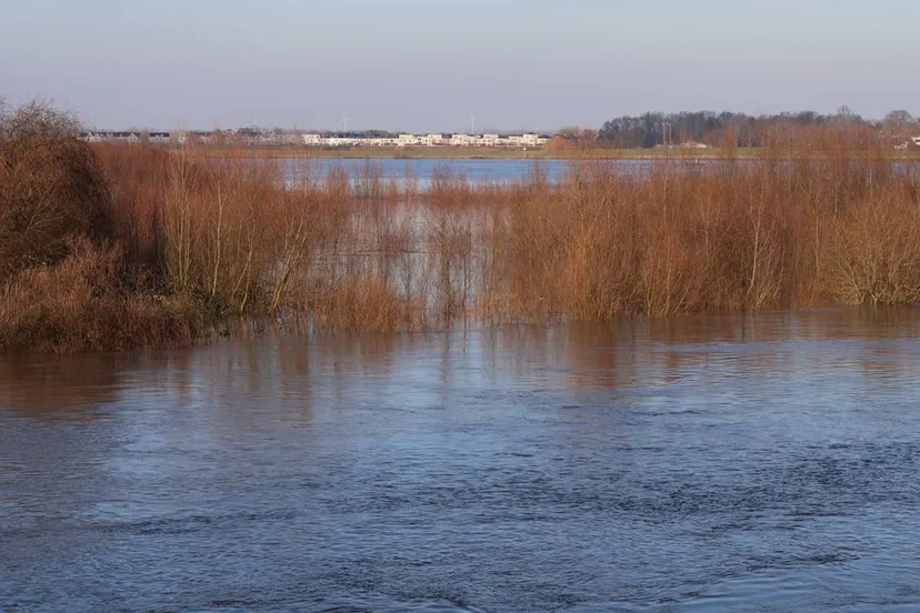 grensregio compact 12 januari 2025