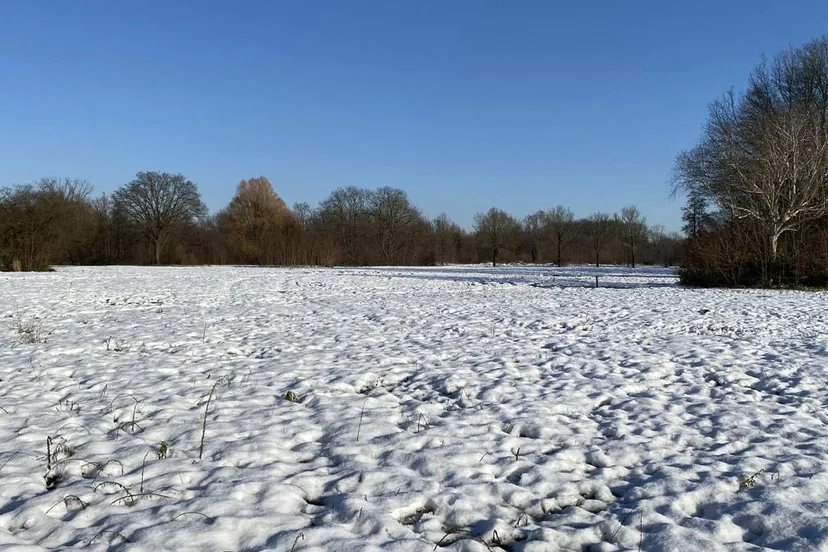 voormalige escs locatie 10 januari 2025