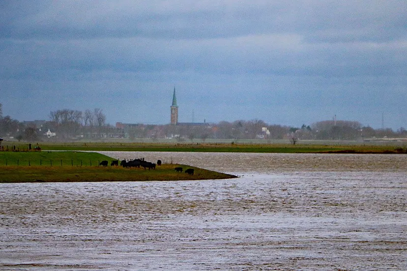 zicht op maaseik vanaf hoogwaterbrug bij illikhoven 6 januari 2025